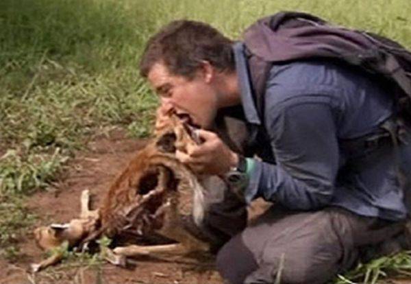 Przekąski Bear'a Gryllsa 14