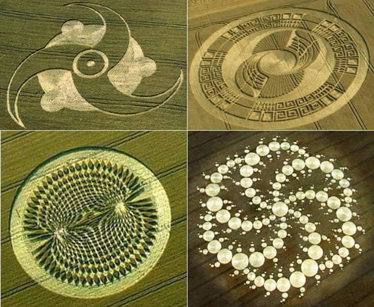 ufologia ufologia