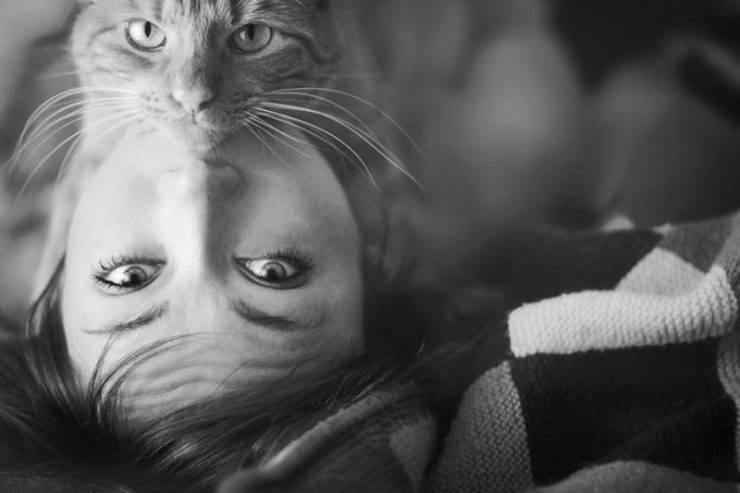 Foto pobudka #687 91