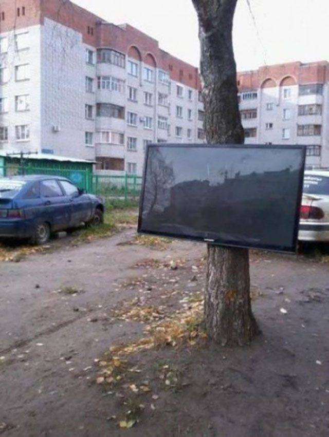 Wytłumacz to zdjęcie #44 6