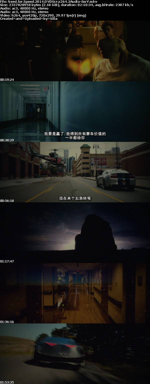 Need for Speed 2014 DVDScr x264 2Audio-SmY