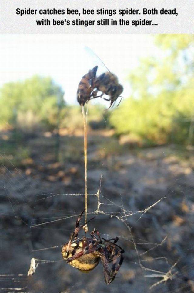 Foto pobudka #1380 19
