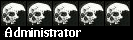 Administrator Administrator