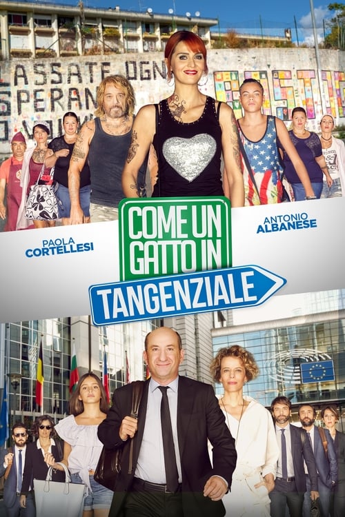 Like A Cat On A Highway iTALIAN 2017 DVDRip x264 AC3-TEAM69 Like A Cat On A Highway iTALIAN 2017 DVDRip x264 AC3-TEAM69