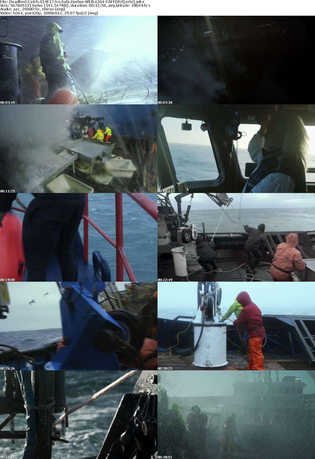 Deadliest Catch S14E17 No Safe Harbor WEB x264-CAFFEiNE Deadliest Catch S14E17 No Safe Harbor WEB x264-CAFFEiNE