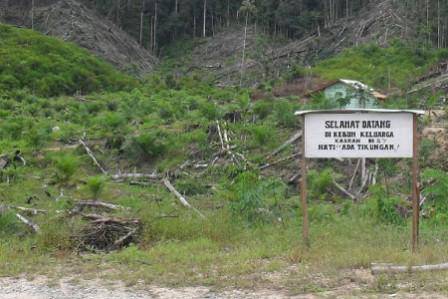 Bupati Madina Tidur: Pencuri Batumundom Dan Sikapas Jual Hutan Negara Laba Onas Ke Penadah Padangsidimpuan 114344301030e98eb8aecfa5994157c44b1e6848 Bupati Madina Tidur: Pencuri Batumundom Dan Sikapas Jual Hutan Negara Laba Onas Ke Penadah Padangsidimpuan