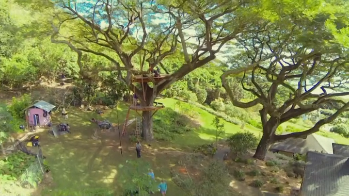 The Treehouse Guys S03E04 HDTV x264-dotTV The Treehouse Guys S03E04 HDTV x264-dotTV