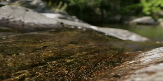 Daphne ou La Belle Plante 2015 480p x264-mSD Daphne ou La Belle Plante 2015 480p x264-mSD