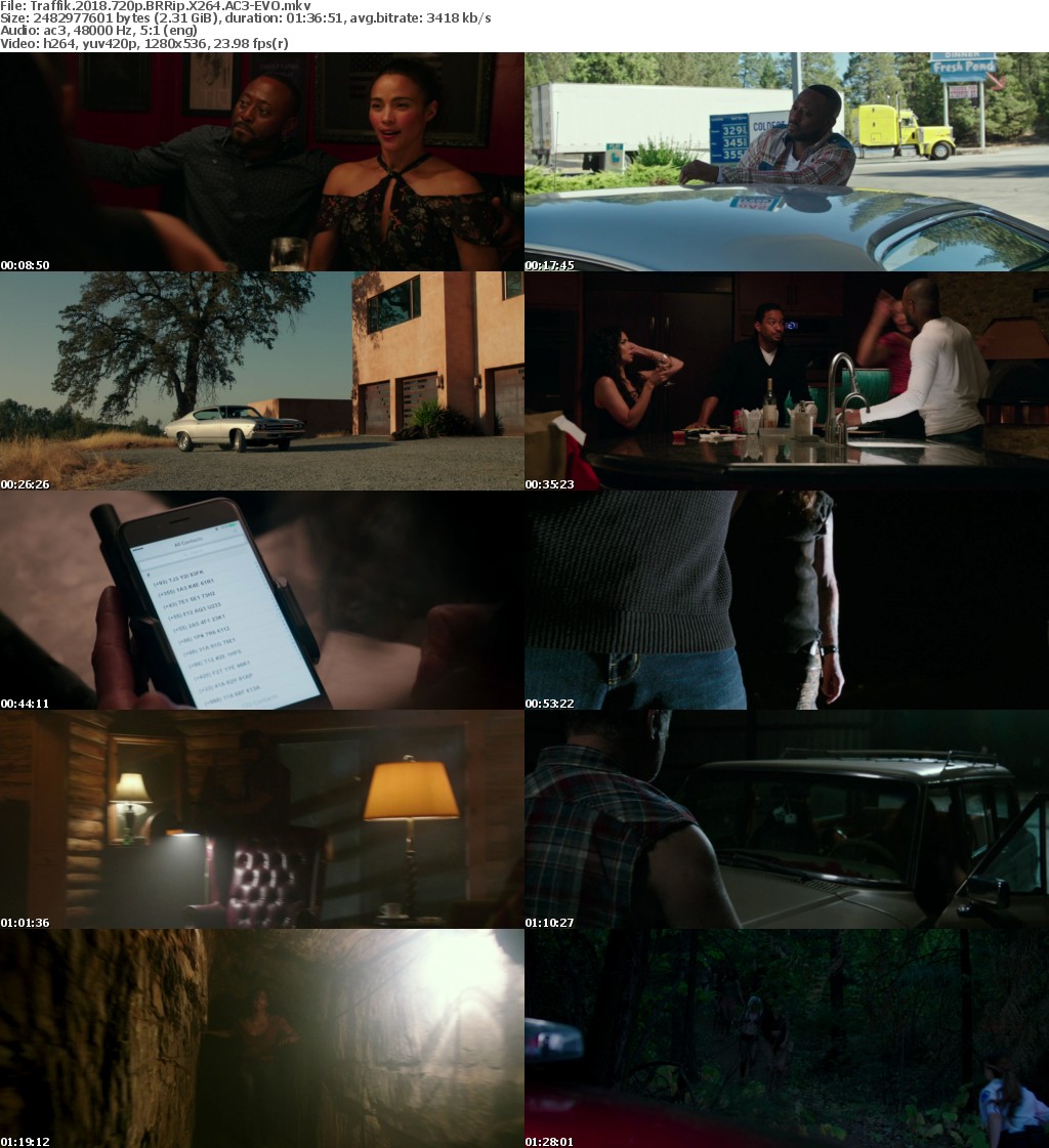 Traffik (2018) 720p BRRip X264 AC3-EVO