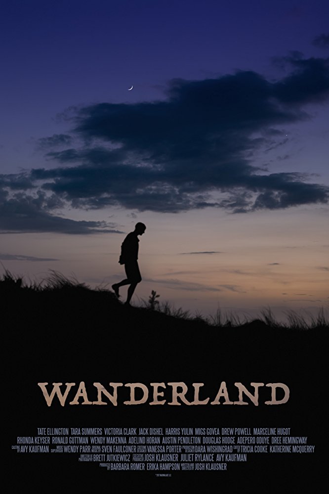 Wanderland (2018) 1080p AMZN WEBRip DDP5.1 x264-NTG