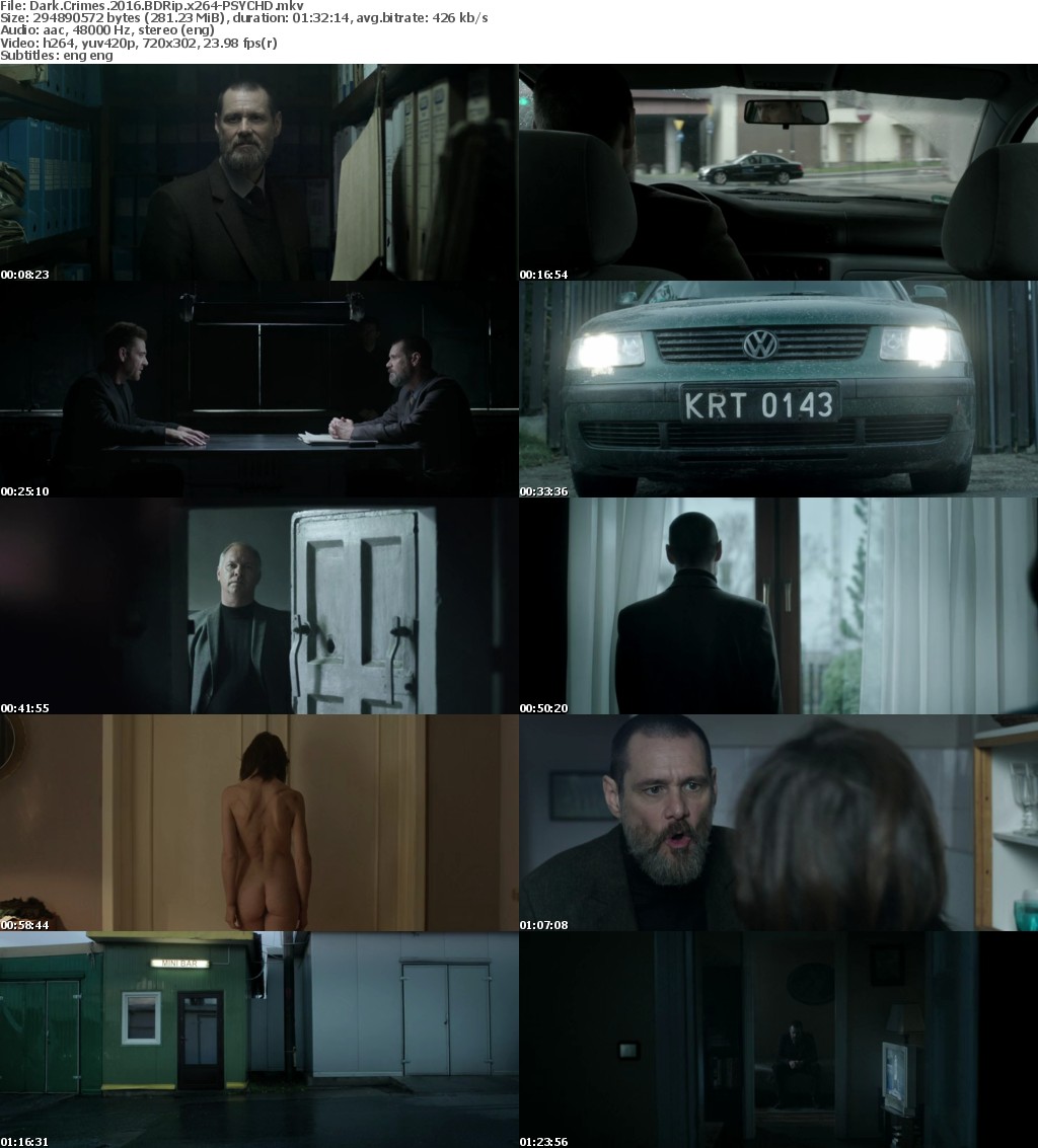 Dark Crimes (2016) BDRip x264-PSYCHD