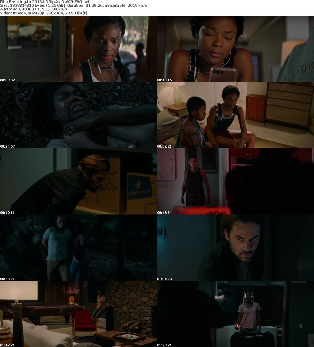 Breaking In (2018) HDRip XviD AC3-EVO