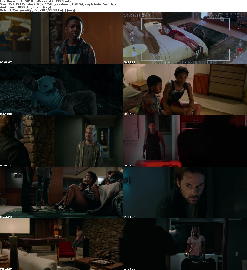 Breaking In (2018) BDRip x264-GECKOS