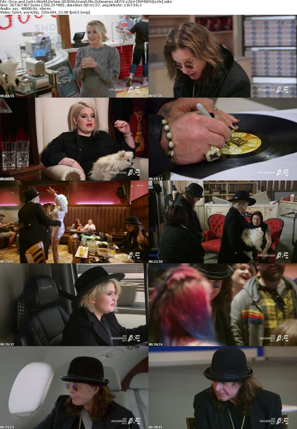 Ozzy and Jacks World Detour S03E06 Grand Ole Osbournes HDTV x264-CRiMSON