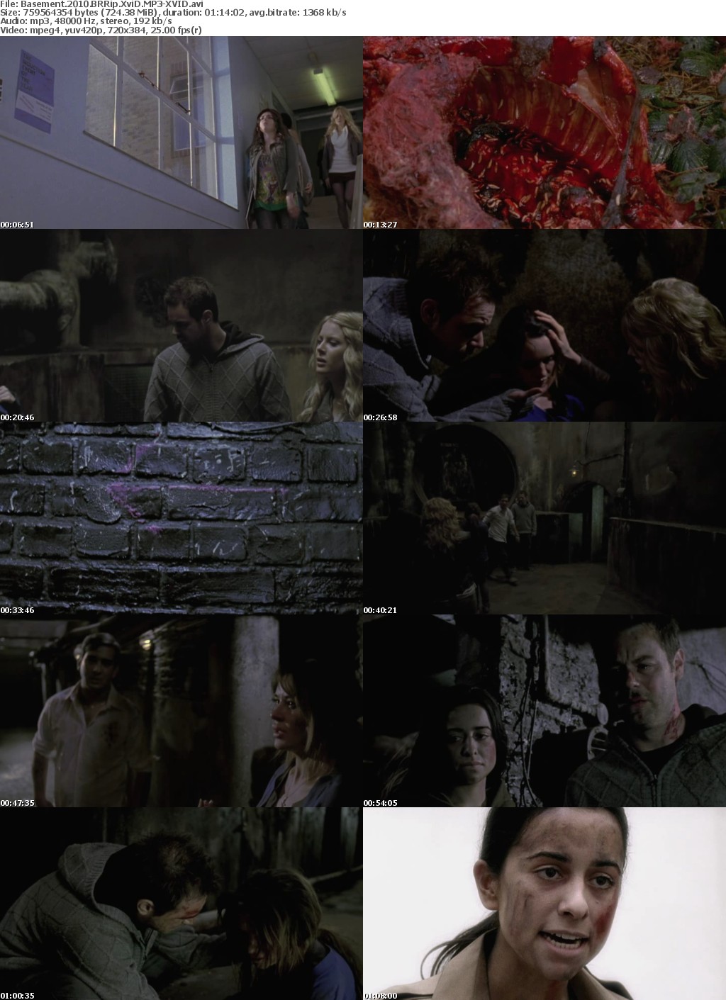Basement 2010 BRRip XviD MP3-XVID Basement 2010 BRRip XviD MP3-XVID