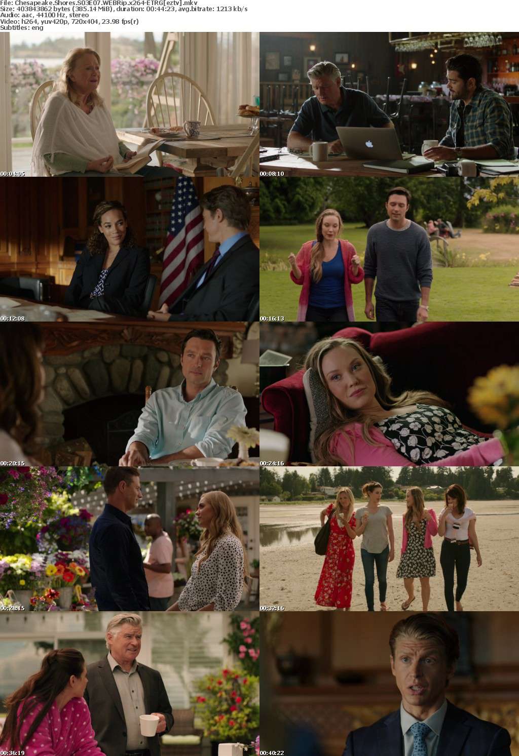 Chesapeake Shores S03E07 WEBRip x264-ETRG