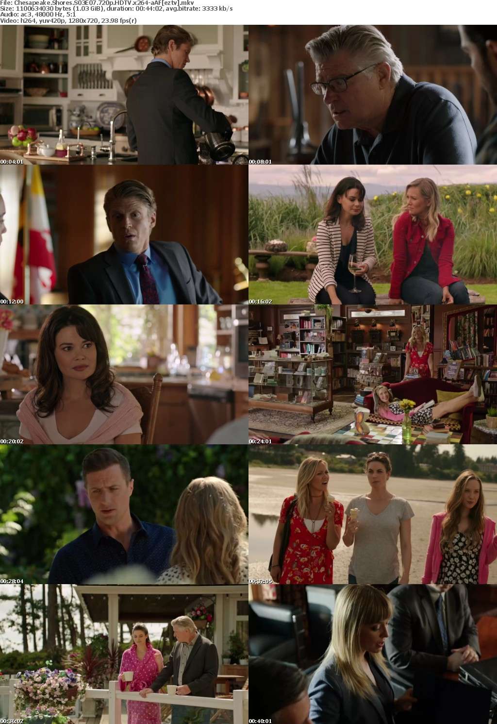 Chesapeake Shores S03E07 720p HDTV x264-aAF