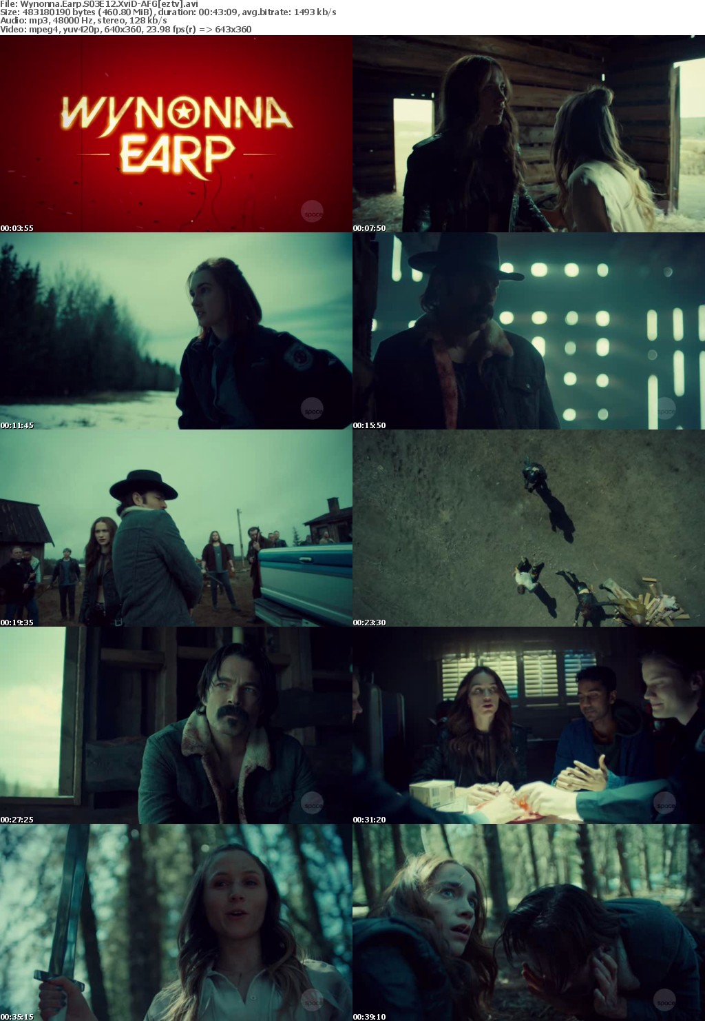 Wynonna Earp S03E12 XviD-AFG