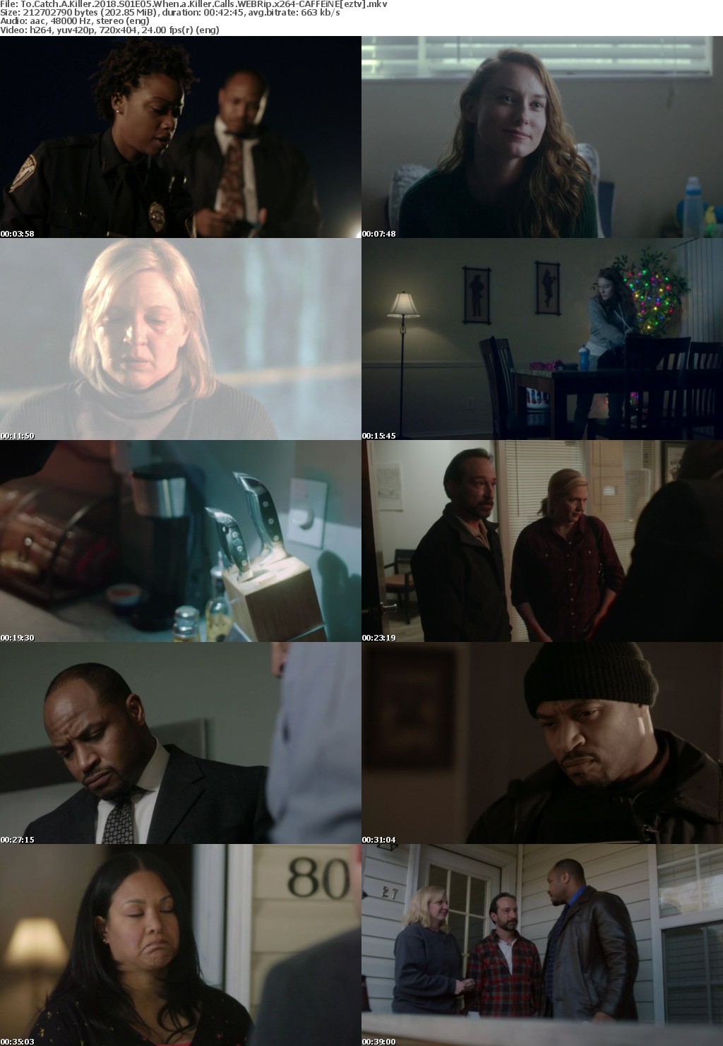 To Catch A Killer 2018 S01E05 When a Killer Calls WEBRip x264-CAFFEiNE To Catch A Killer 2018 S01E05 When a Killer Calls WEBRip x264-CAFFEiNE