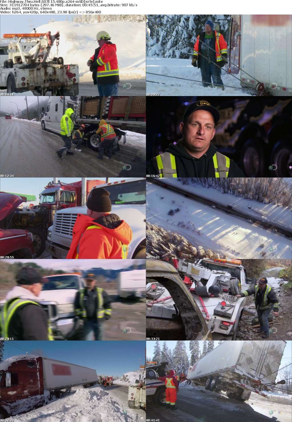 Highway Thru Hell S07E15 480p x264-mSD