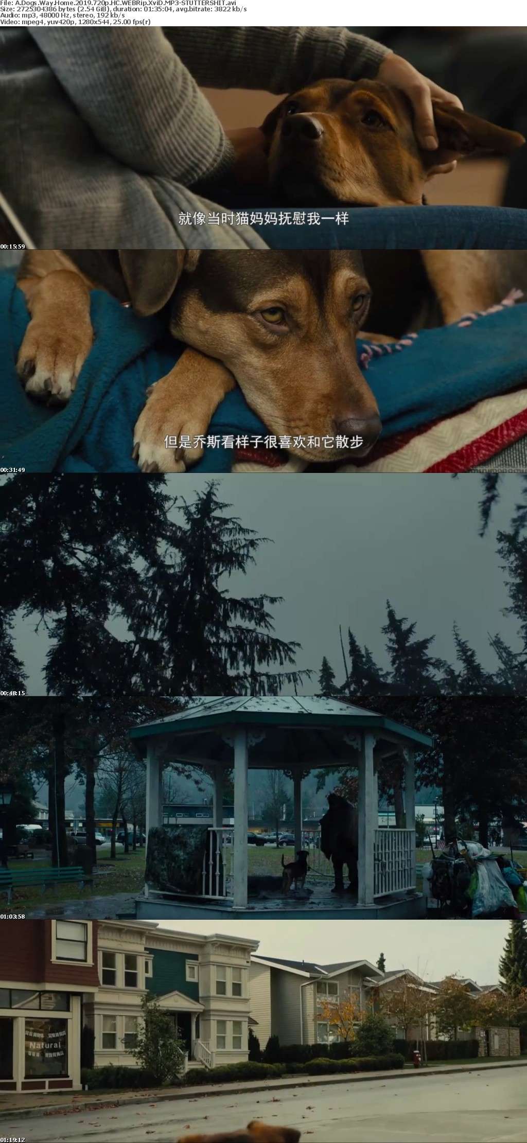 A Dogs Way Home 2019 720p HC WEBRip XviD MP3-STUTTERSHIT A Dogs Way Home 2019 720p HC WEBRip XviD MP3-STUTTERSHIT