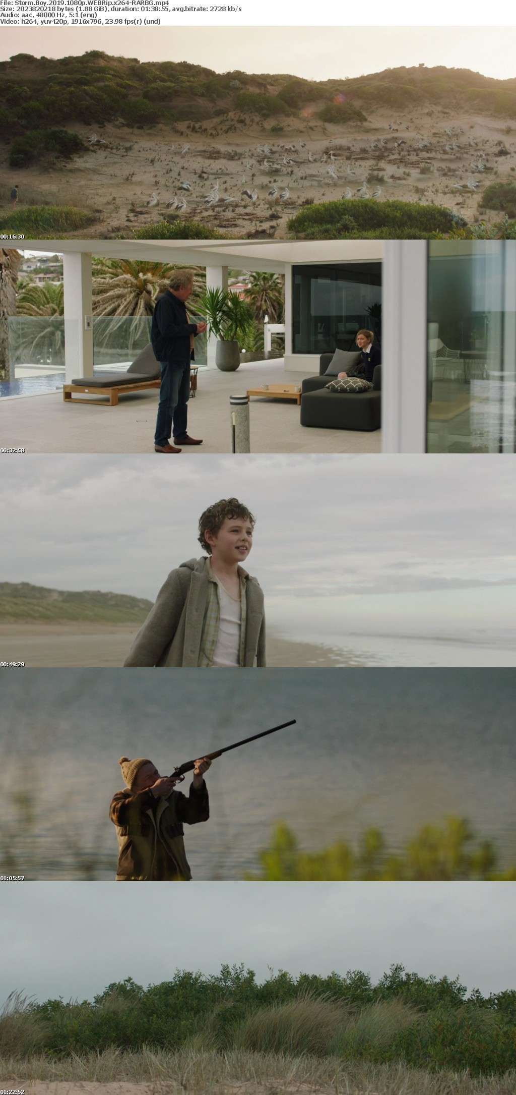 Storm Boy 2019 1080p WEBRip x264-RARBG Storm Boy 2019 1080p WEBRip x264-RARBG