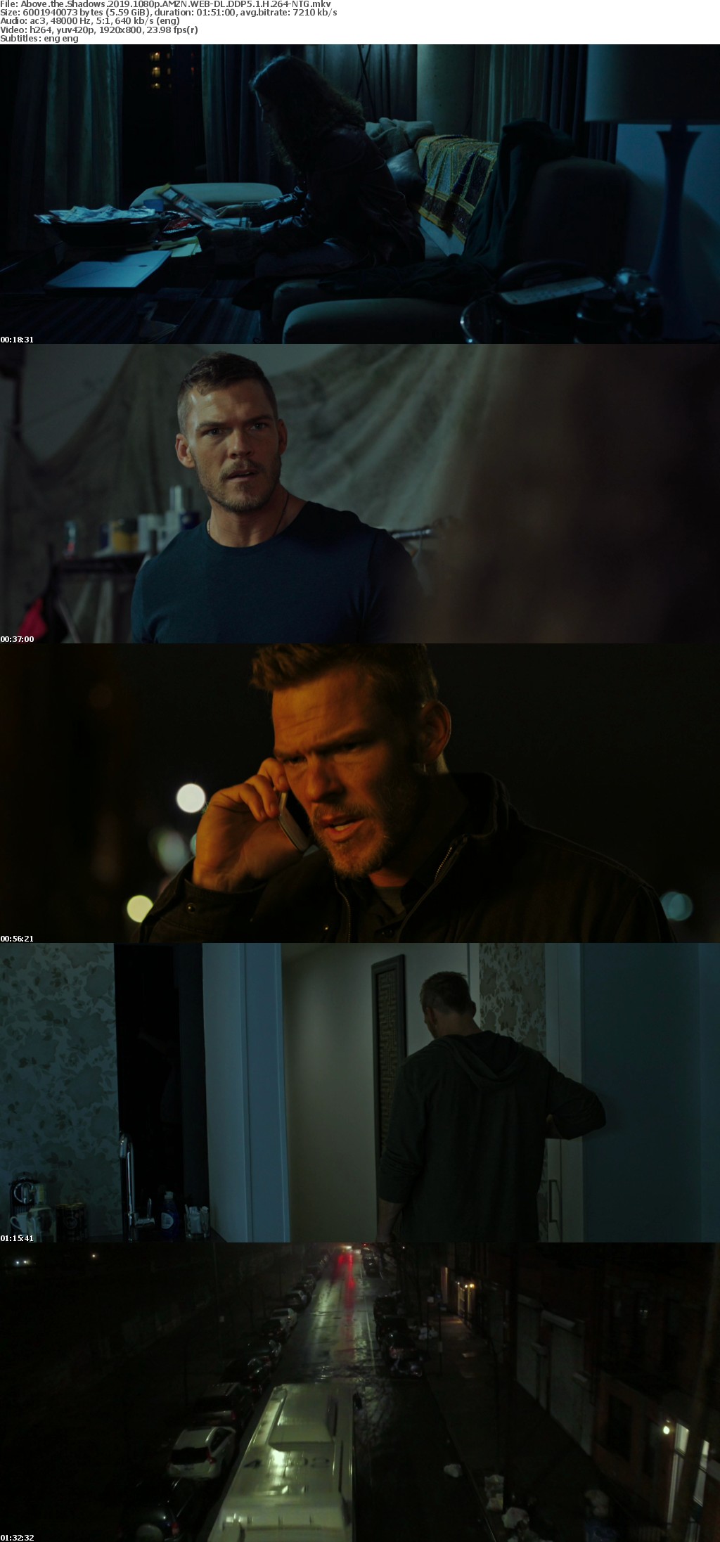 Above the Shadows 2019 1080p AMZN WEBRip DDP5 1 x264-NTG Above the Shadows 2019 1080p AMZN WEBRip DDP5 1 x264-NTG