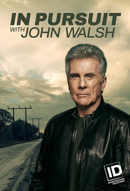 In Pursuit with John Walsh S02E12 Witness to Murder 480p x264-mSD