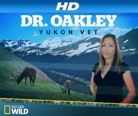 Dr Oakley Yukon Vet S08E04 A Hoarse Horse 720p WEBRip x264-CAFFEiNE