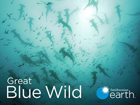 Great Blue Wild S02E05 Indonesia-Amazon of the Seas 720p WEB h264-CAFFEiNE