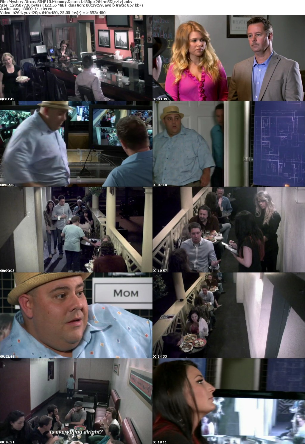 Mystery Diners S04E10 Mommy Dearest 480p x264-mSD