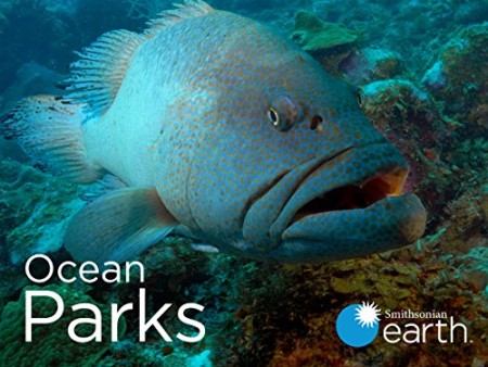Ocean Parks S01E02 Florida Keys National Marine Sanctuary WEB h264-CAFFEiNE