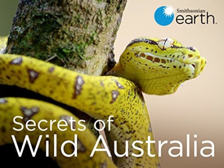 Secrets of Wild Australia S01E07 The Waterhole WEB h264-CAFFEiNE