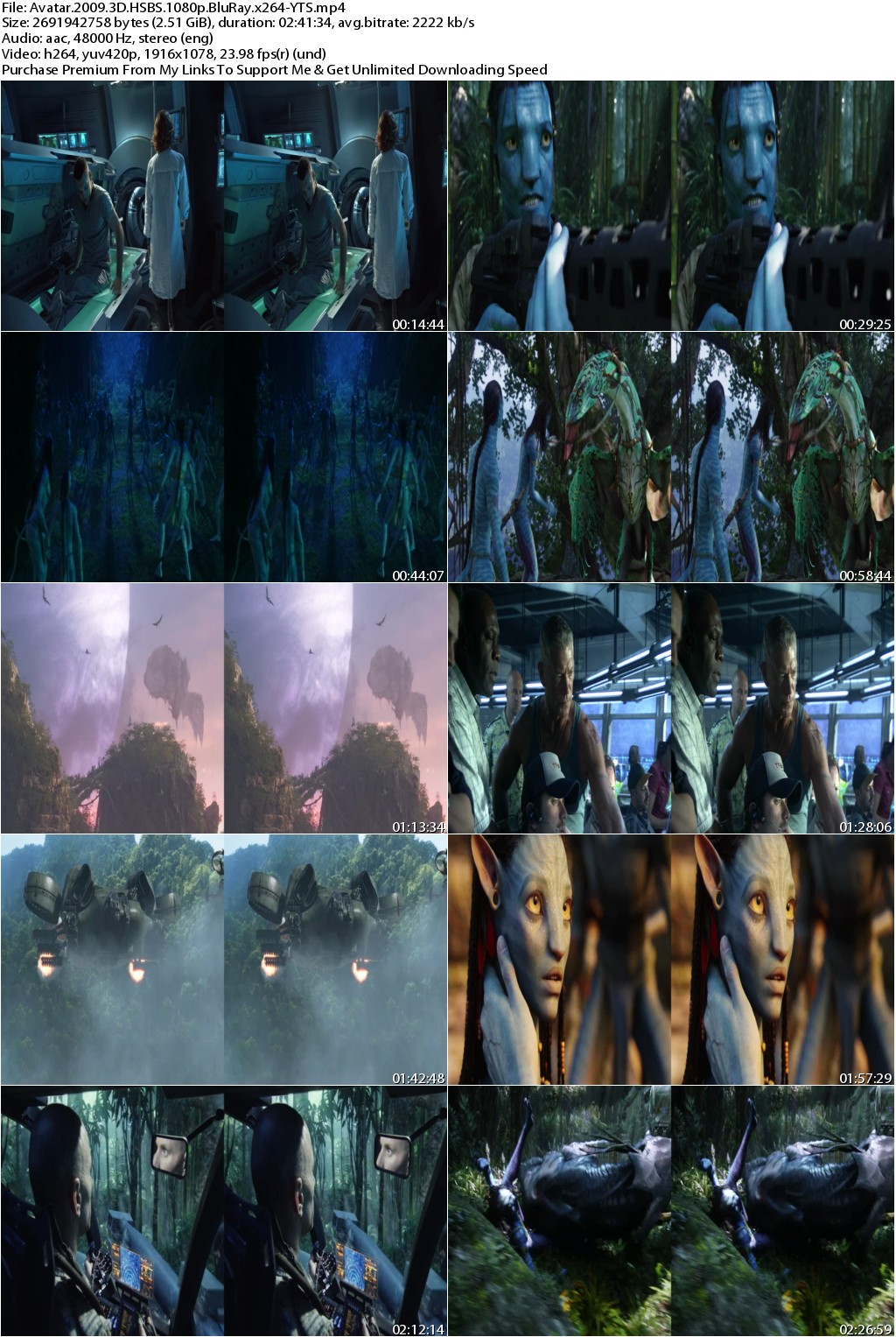 Avatar (2009) 3D HSBS 1080p BluRay x264-YTS