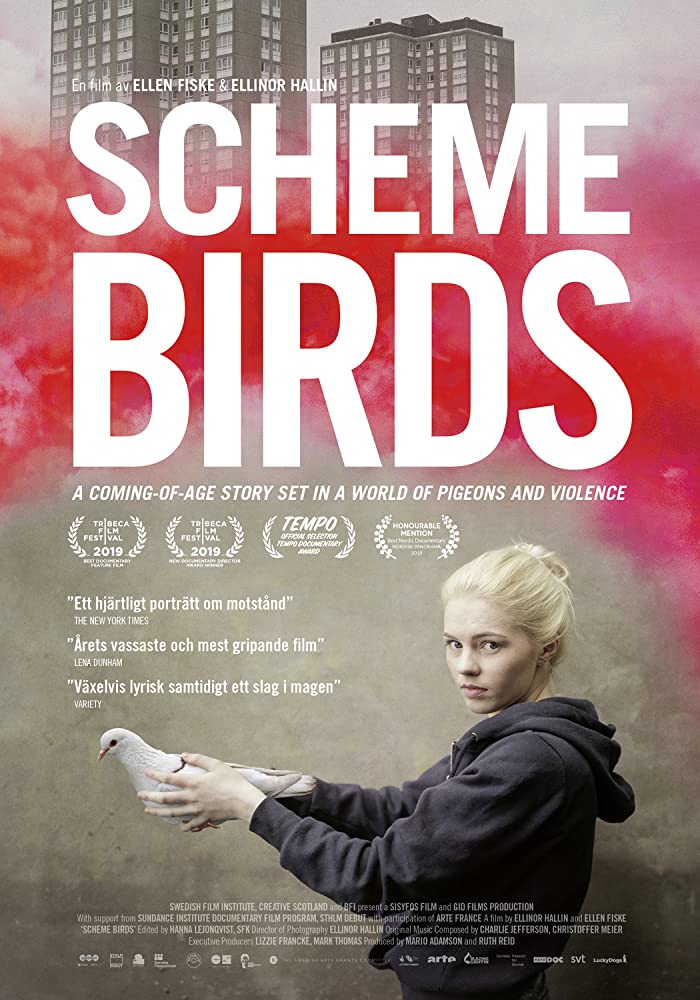 Scheme Birds 2019 WEB-DL XviD MP3-FGT