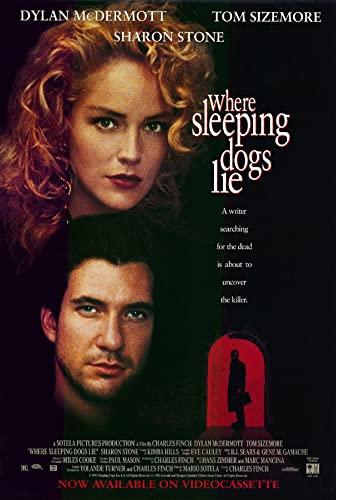 Where Sleeping Dogs Lie 2020 720p WEBRip X264 AC3-EVO