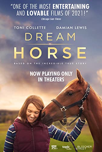 Dream Horse 2020 WEBRip x264-ION10