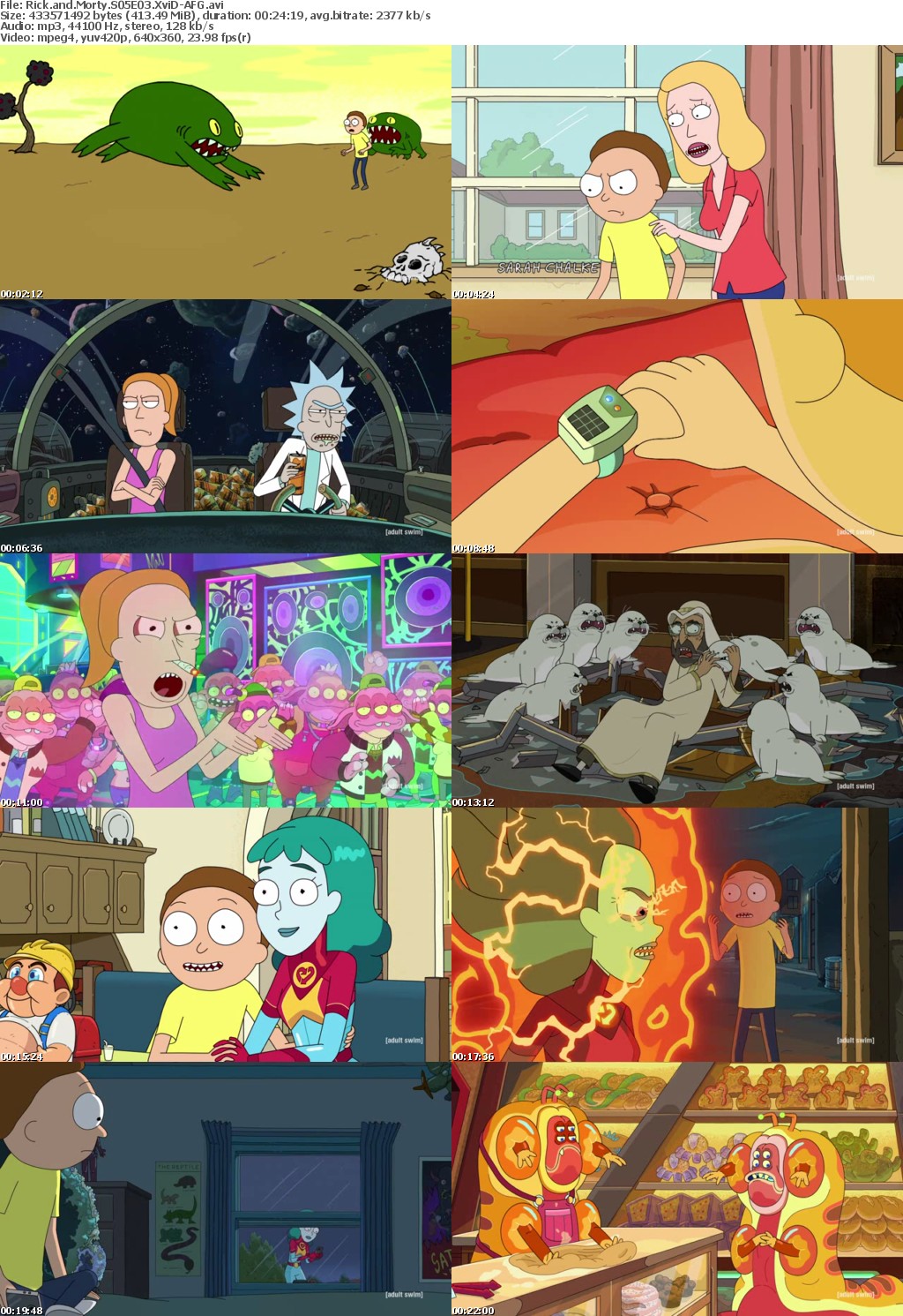 Rick and Morty S05E03 XviD-AFG