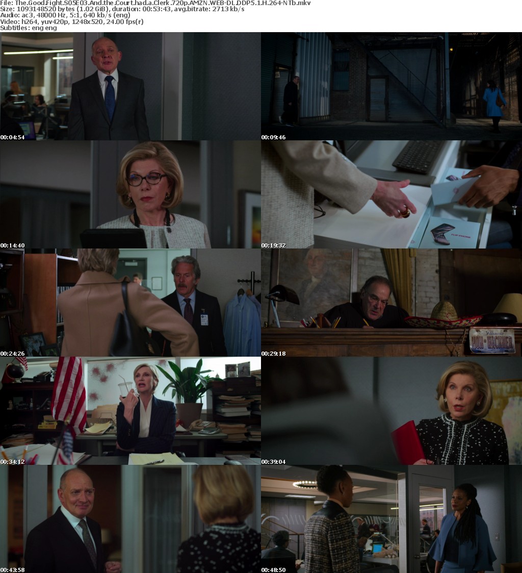 The Good Fight S05E03 And the Court had a Clerk 720p AMZN WEBRip DDP5 1 x264-NTb