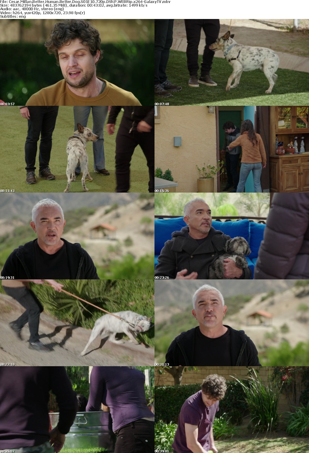Cesar Millan Better Human Better Dog S01 COMPLETE 720p DSNP WEBRip x264-GalaxyTV