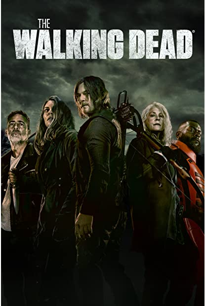 The Walking Dead S11E05 XviD-AFG