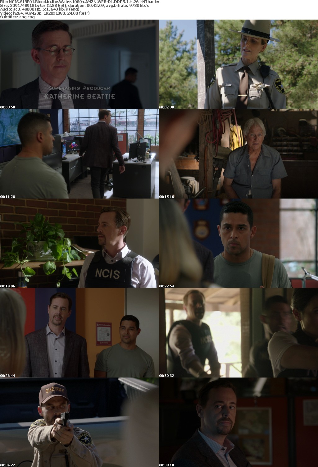 NCIS S19E01 Blood in the Water 1080p AMZN WEBRip DDP5 1 x264-NTb