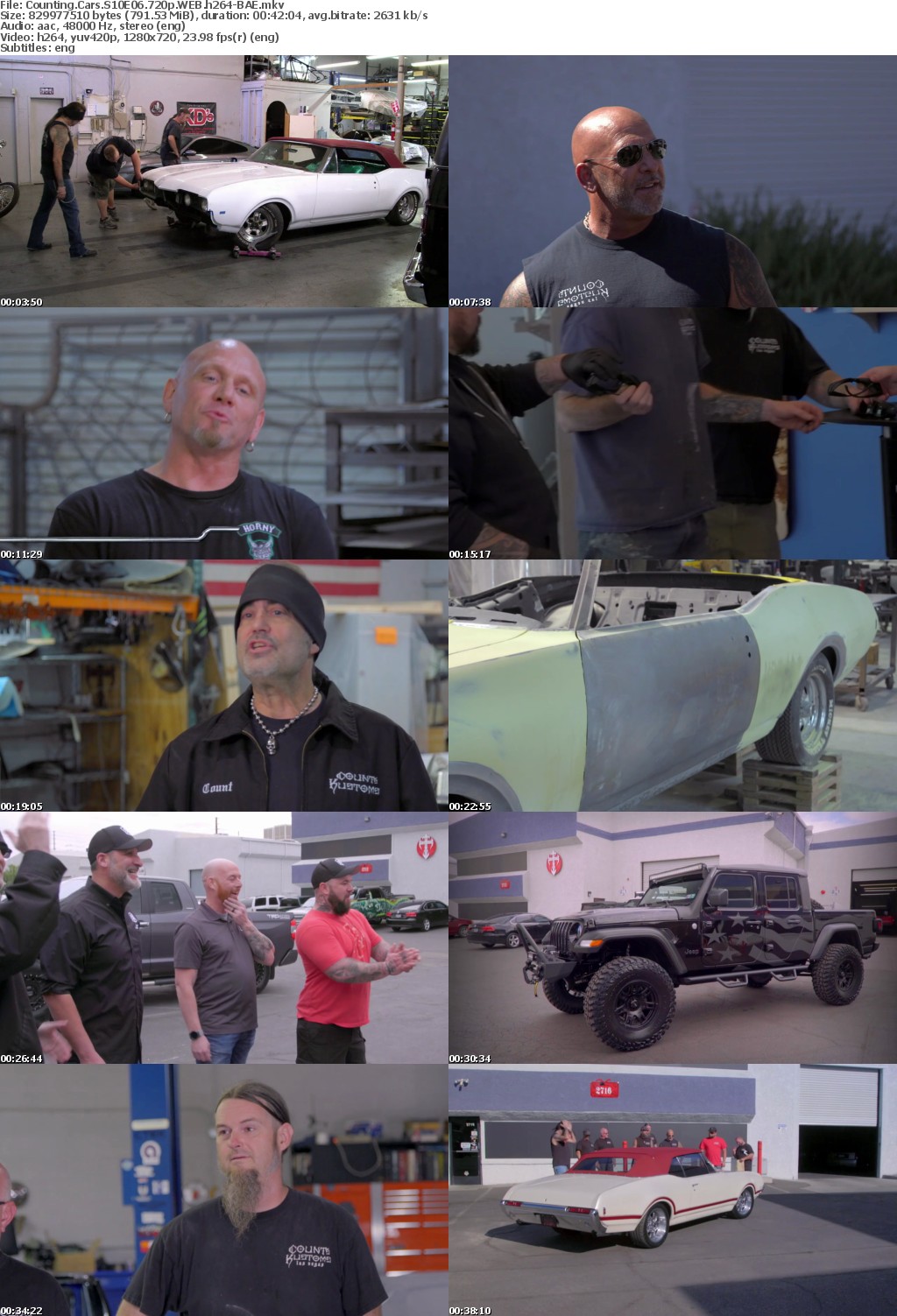 Counting Cars S10E06 720p WEB h264-BAE