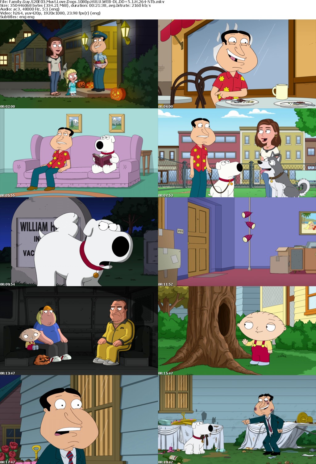 Family Guy S20E03 Must Love Dogs 1080p HULU WEBRip DDP5 1 x264-NTb