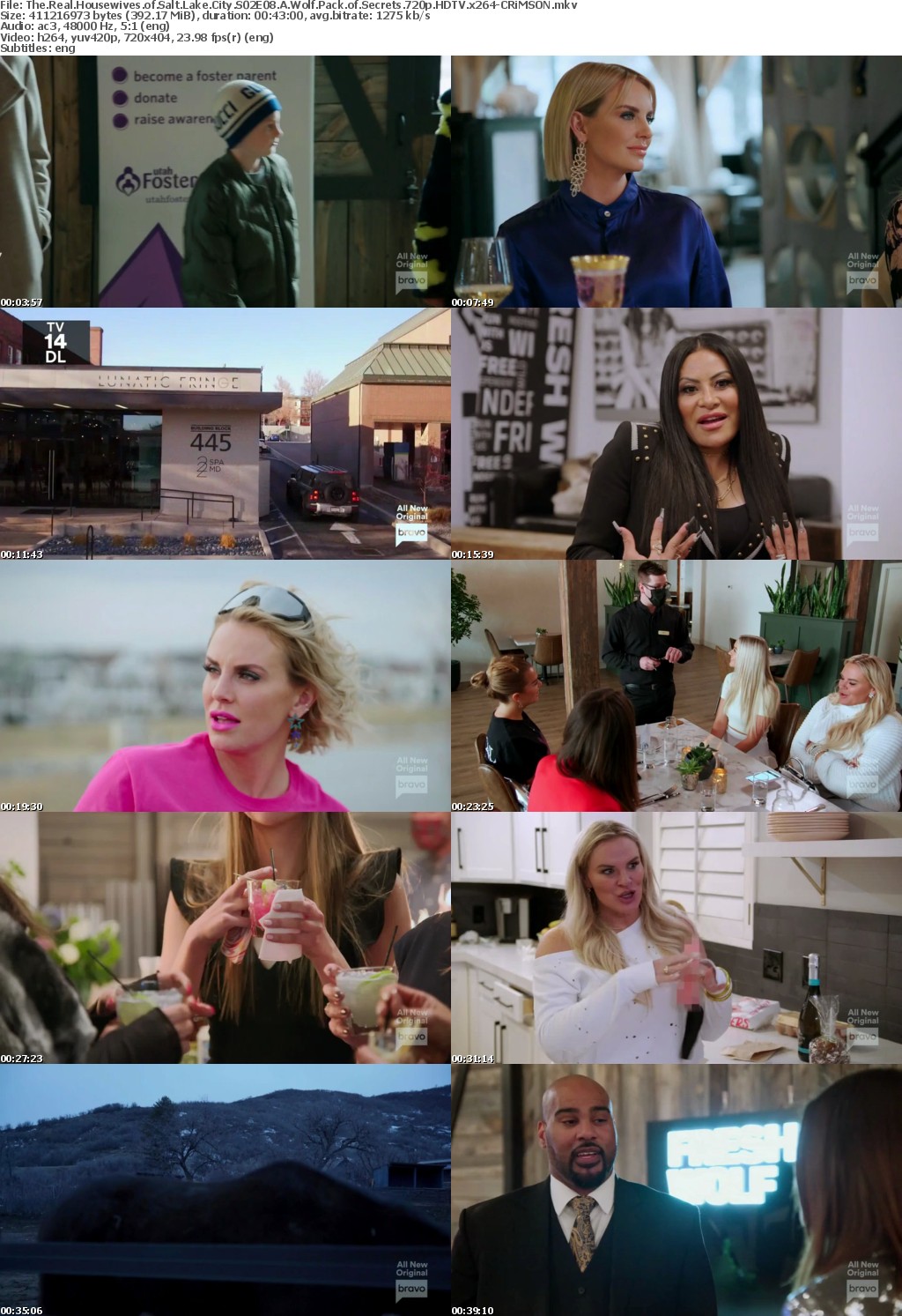 The Real Housewives of Salt Lake City S02E08 A Wolf Pack of Secrets 720p HDTV x264-CRiMSON