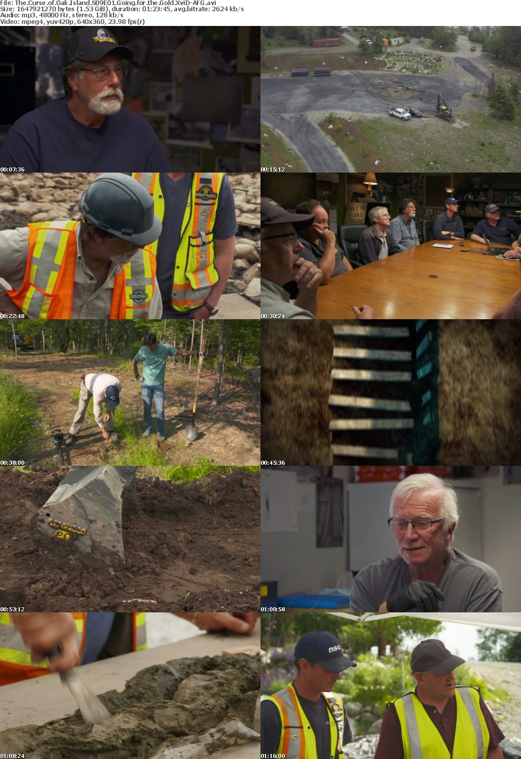 The Curse of Oak Island S09E01 Going for the Gold XviD-AFG