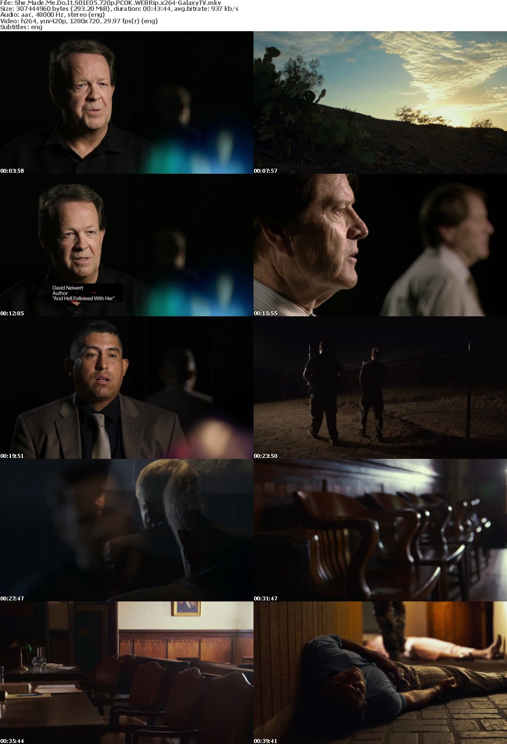She Made Me Do It S01 COMPLETE 720p PCOK WEBRip x264-GalaxyTV