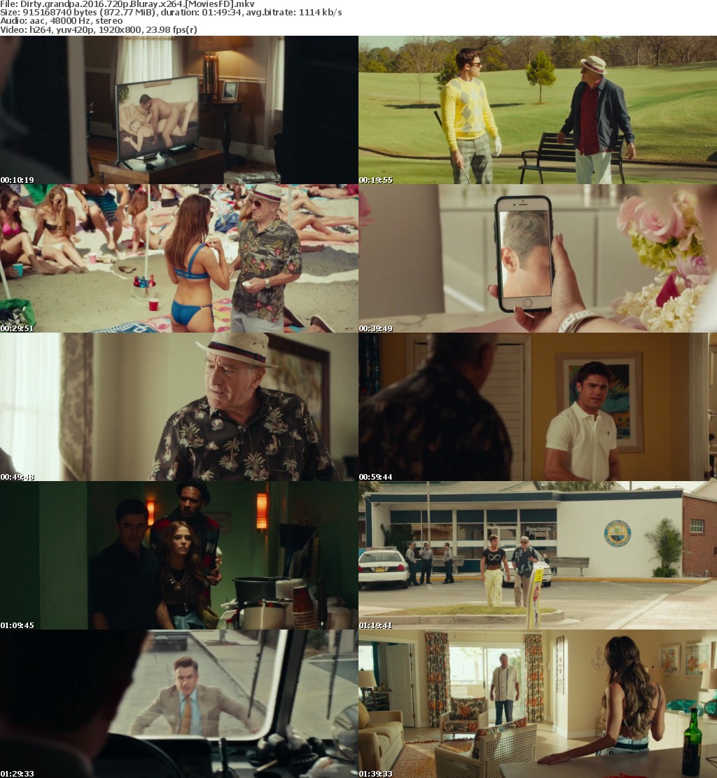 Dirty Grandpa (2016) 720p BluRay x264 - MoviesFD