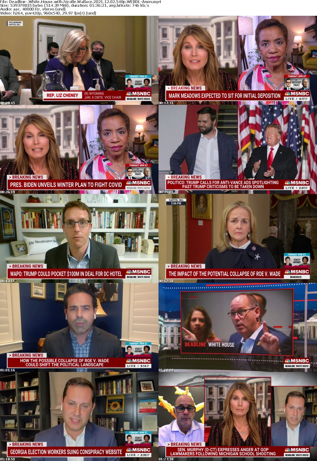 Deadline- White House with Nicolle Wallace 2021 12 02 540p WEBDL-Anon