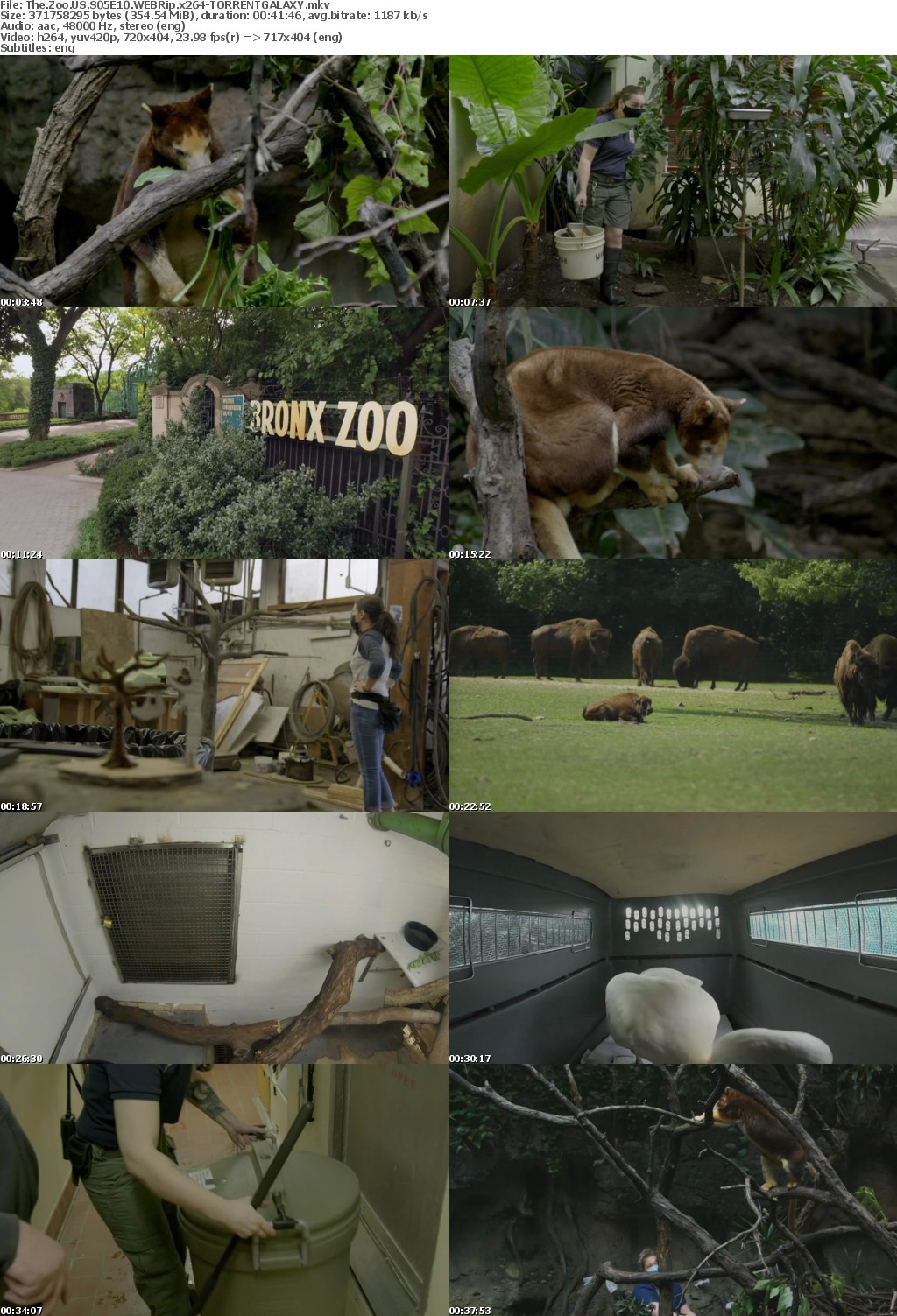 The Zoo US S05E10 WEBRip x264-GALAXY